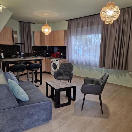 Solymar Prive Apartment Archangelos  Bagian luar foto